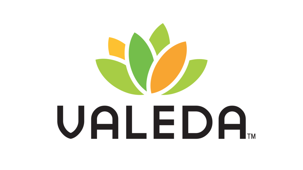 1920 valeda logo large 1