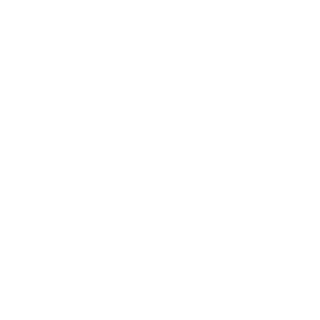 ch logo white transparent