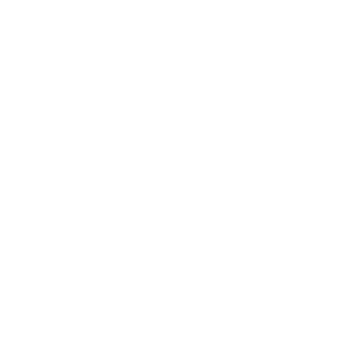 charles stone eyewear white transparent